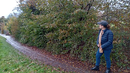 Footpath clearance