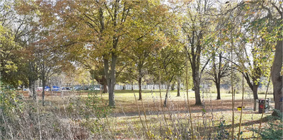 Civic quarter trees